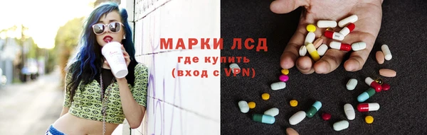 мдпв Елабуга