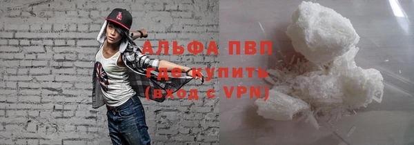 мдпв Елабуга