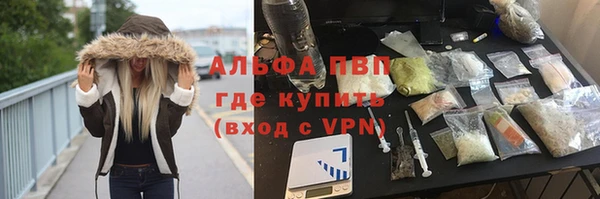 мдпв Елабуга