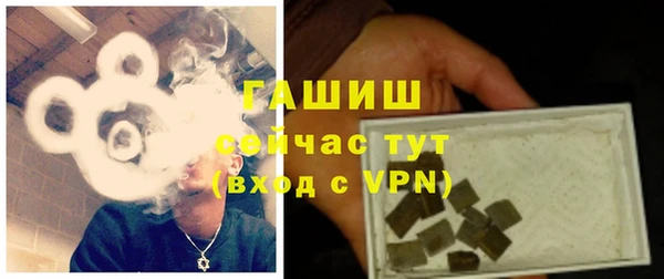 мдпв Елабуга