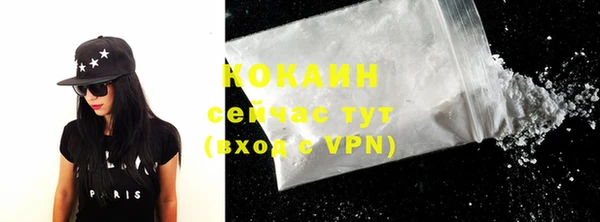 мдпв Елабуга