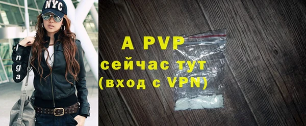 мдпв Елабуга