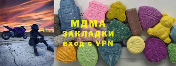 мдпв Елабуга