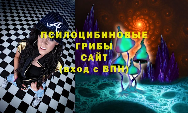 мдпв Елабуга