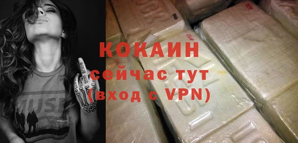 мдпв Елабуга