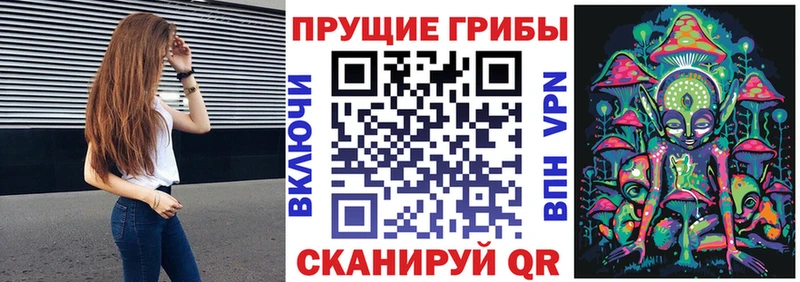 Купить где  Касимов  Галлюциногенные грибы мицелий 